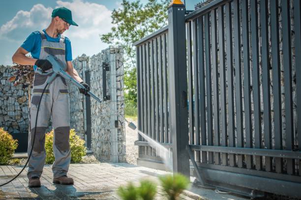 Best Roof Cleaning and Mildew Removal in USA